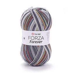 Шкарпеткова пряжа Forza Forever 2701