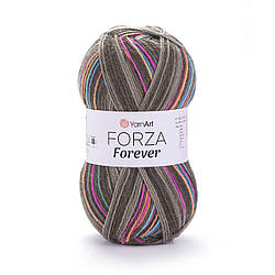 Шкарпеткова пряжа Forza Forever 2702
