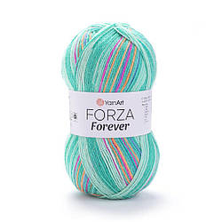 Шкарпеткова пряжа Forza Forever 2708
