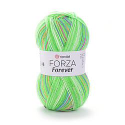 Шкарпеткова пряжа Forza Forever 2709