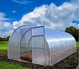 Для телиць,  стільниковий, полікарбонат,  OSCAR   3 мм (Сербія), фото 9