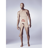 Кухонний фартух із плюшевим пінисом 52 см Sex Machine, фото 3