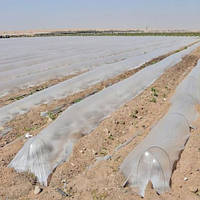 Мульчирующая Пленка на Дуги для Тоннелей ПРОЗРАЧНАЯ 1,5м * 500м 30мкм на 1год