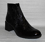 Черевики великого розміру шкіряні від виробника модель ТН24-201Б-1, фото 2