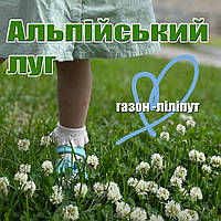 Королевський газон ліліпут для ледачих низькорослий з білою конюшиною Піполіна 5% семена+ сидерат