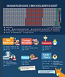 Біблія в інфографіці для дітей. Пізнаємо Ісуса. Частина 3, фото 10