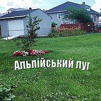 Альпійський газон з мікро конюшиною Ривендел 10% газонна трава для саду насіння +квіти