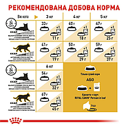 Royal Canin Persian Роял Канін сухий корм для перських кішок 2 кг, фото 2