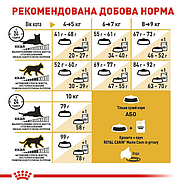 Royal Canin Maine Coon Роял Канин Мейн-кун сухий корм для котів 2кг, фото 3