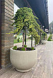 Бетонні вазони "Тіволі" кашпо для квітів, кущів та дерев, для вулиці, саду, дачі та тераси, фото 4