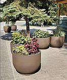 Бетонні вазони "Тіволі" кашпо для квітів, кущів та дерев, для вулиці, саду, дачі та тераси, фото 5