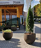 Бетонні вазони "Тіволі" кашпо для квітів, кущів та дерев, для вулиці, саду, дачі та тераси, фото 7