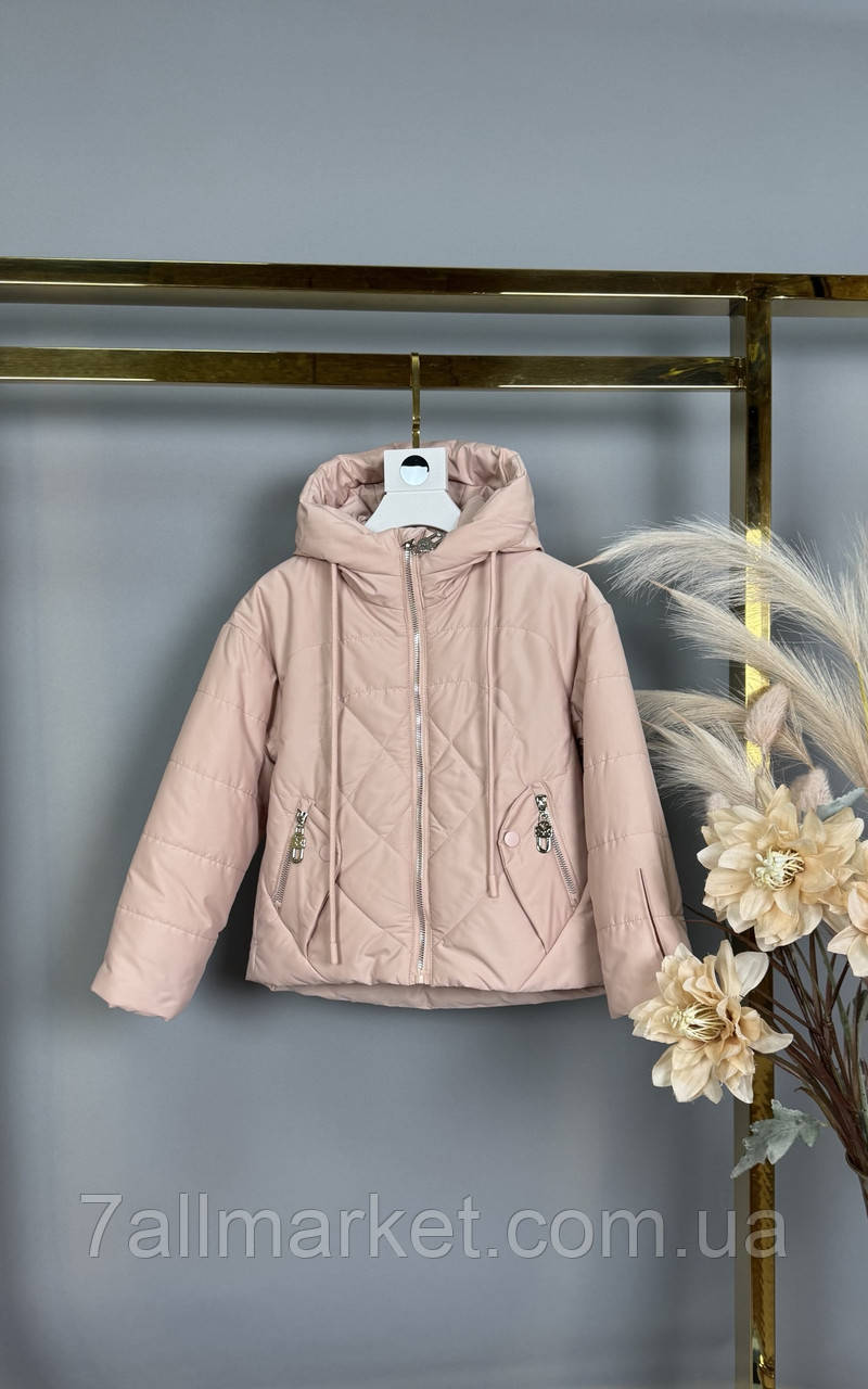 Куртка дитяча демісезонна з капюшоном на дівчинку 92-116 см (5 кв) "DFK" недорого від прямого постачальника, фото 1