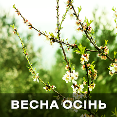 Засоби для ранньовесняної й осінньої обробки