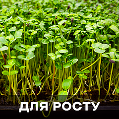 Функціональні добрива та регулятори росту рослин