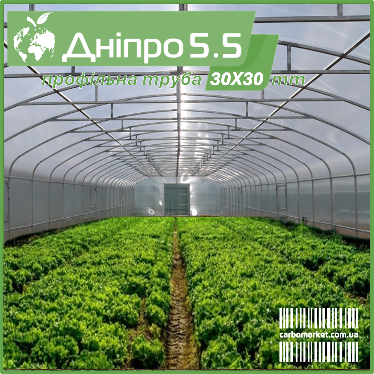 Теплиця "Дніпро-5.5" 5.5х12 м / профільна труба 30Х30 мм / стільниковий полікарбонат 8 мм, фото 1