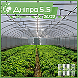 Теплиця "Дніпро-5.5" 5.5х18 м / профільна труба 30Х30 мм / стільниковий полікарбонат 8 мм, фото 4