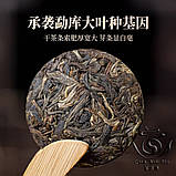 Чай Шен Пуер Міні-Тун 8г., фото 2