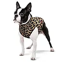 Куртка WAUDOG S 35 жилет Леопард одяг для собак, фото 2