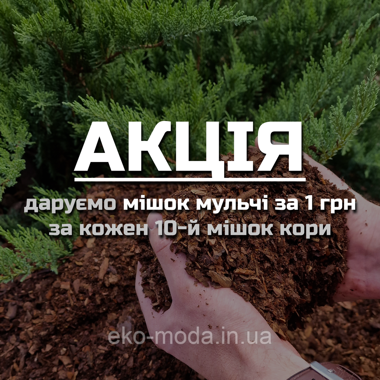 Кора соснова, фракція 0-1 см - МУЛЬЧА