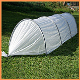 Парник 4 м 42 г/м2 "Агро-Лідер" для розсади овочів, дачна розбірна теплиця з спанбонду, фото 5