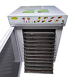 Сушарка Садочок. Модель “С-2M ПЛЮС” (12 нерж. лотків для пилку), фото 4