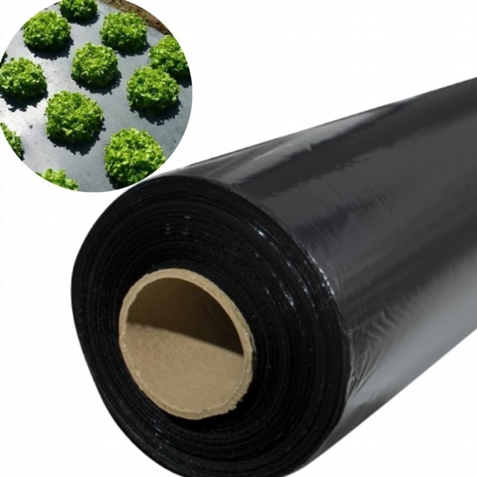 Мульча 30 мкм черная пленка 0.8м*1000м для мульчирования грунта и клубники полиэтиленовая пленка для ландшафта - фото 1 - id-p2508590847