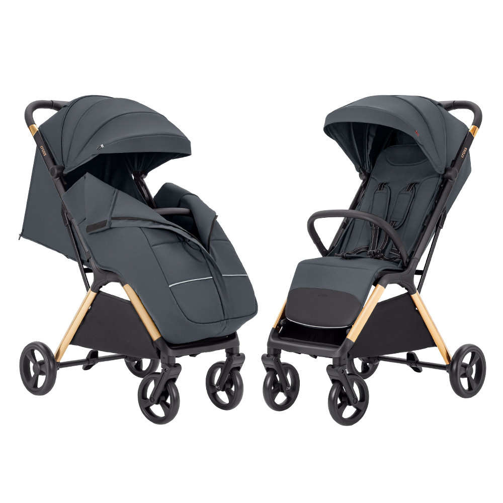 Коляска прогулянкова CARRELLO Cross CRL-5523, Eagle Grey