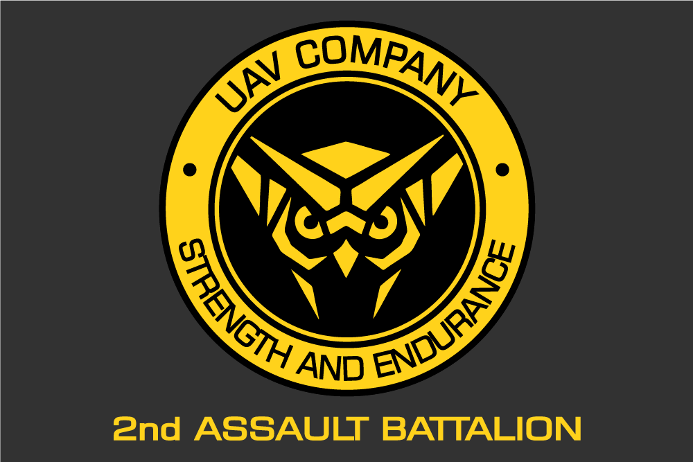 Прапор «2nd Assault Battalion, UAV Company», Штучний шовк, 1200х700 мм