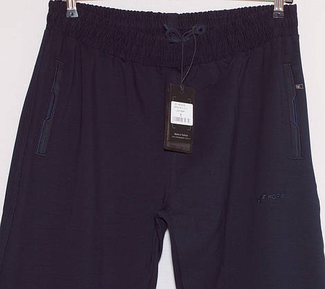 Великі спортивні штани чоловічі Fore 3XL/1,4XL/2,5XL/3,6XL/4,7XL/5, фото 3