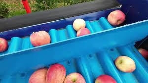 Хвилясті профілі Habasit