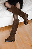 Чоботи демісезонні, жокейські, шоколад замша, байка, фото 4