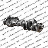 Вал коленчатый ЯМЗ-238 (без вкладішей) 238-1005009, фото 3