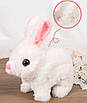 Дитяча розвиваюча м'яка іграшка інтерактивний зайчик вихованець у переносці ходить рухає хвостиком головою, фото 7