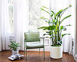 Бетонні вазони "Діаманте" (Д40-60 см) кашпо для квітів, кущів та дерев, для вулиці, саду, дачі та тераси, фото 5