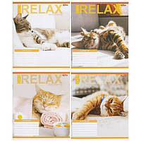 Зошит шкільний 18 листів клітинка, серія "Коти релакс", білизна 100%