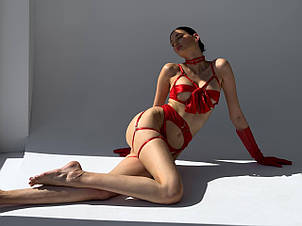 Жіночий Розкішний комплект білизни: бюст + трусики + пояс + чокер + гартери + рукавички Розміри S- М