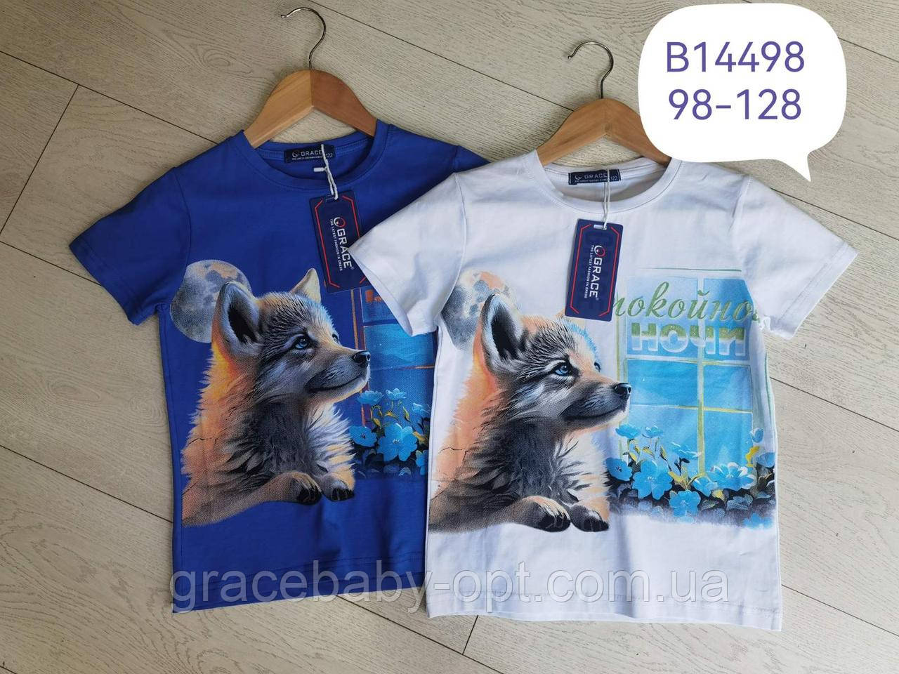 Футболки для хлопчиків оптом, Grace, 98-128 рр., № B14498, фото 1