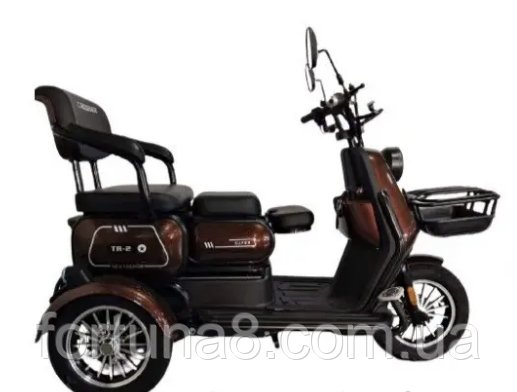 Купить Электротрайк трехколесный трицикл Crosser TR-1 (600W