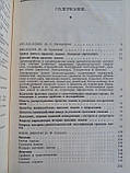 Основи іранського мовленняттю. Давняниські мови. /книга/ (б/у)., фото 8
