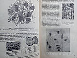 Бляхер Л.Я. Курс загальної біології. (б/у)., фото 8