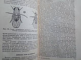 Бляхер Л.Я. Курс загальної біології. (б/у)., фото 9