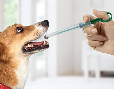 Ветеринарні інструменти