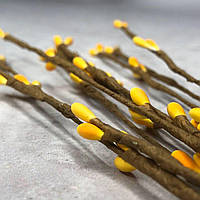 Гілочка верби з бруньками 40 см - жовтий