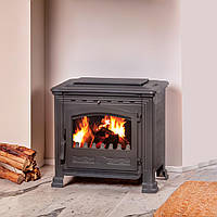 Піч чавунна з водним контуром Plamen Tena Termo