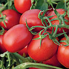 Томат Міцено Syngenta 20 шт (zip-paket), фото 3