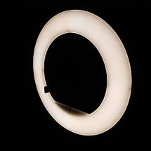 Кільцева світлодіодна LED-лампа Ring Light RL-14 Набір блогера візажиста для фото та відео Селфі кільце 36 см YU227, фото 5