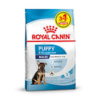 Корм для цуценят великих порід собак ROYAL CANIN MAXI PUPPY 3 + 1 кг в подарунок