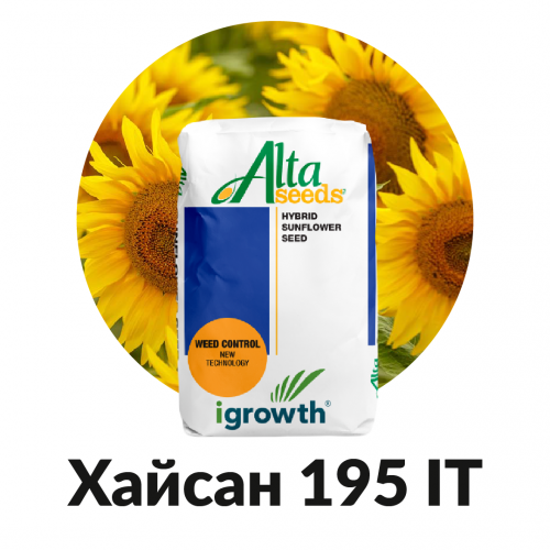 Насіння соняшника Хайсан 195 ІТ 9,7кг
