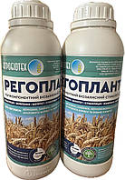 РЕГОПЛАНТ - Активатор росту рослин. Зняття стресу / Післядія на рослині. Біостимулятор РЕГОПЛАНТ, фото 4